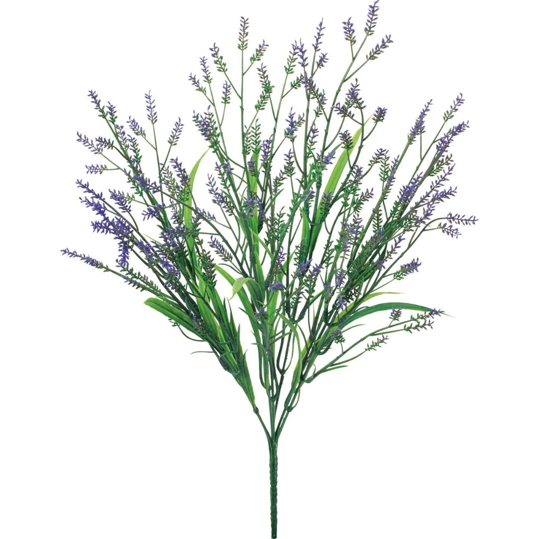 ラベンダーブッシュ