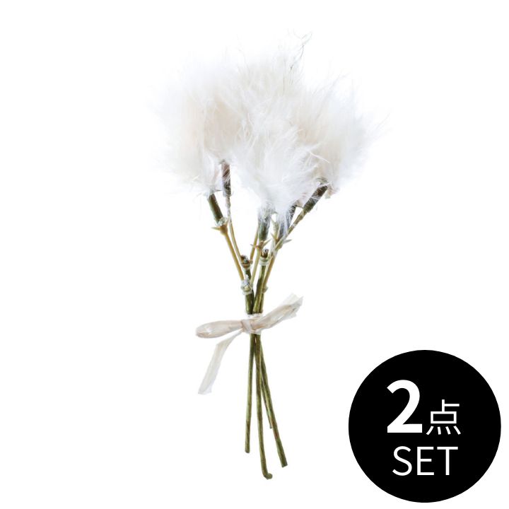 フェザーピック / 2点セット