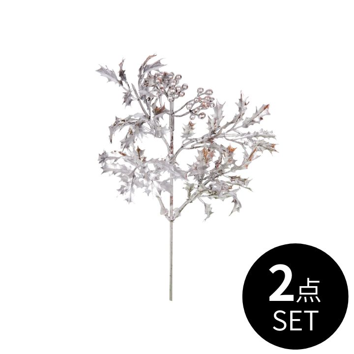 メタリックホーリーピック / 2点セット