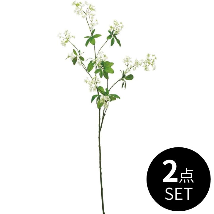 ディルフラワーブランチ / 2点セット