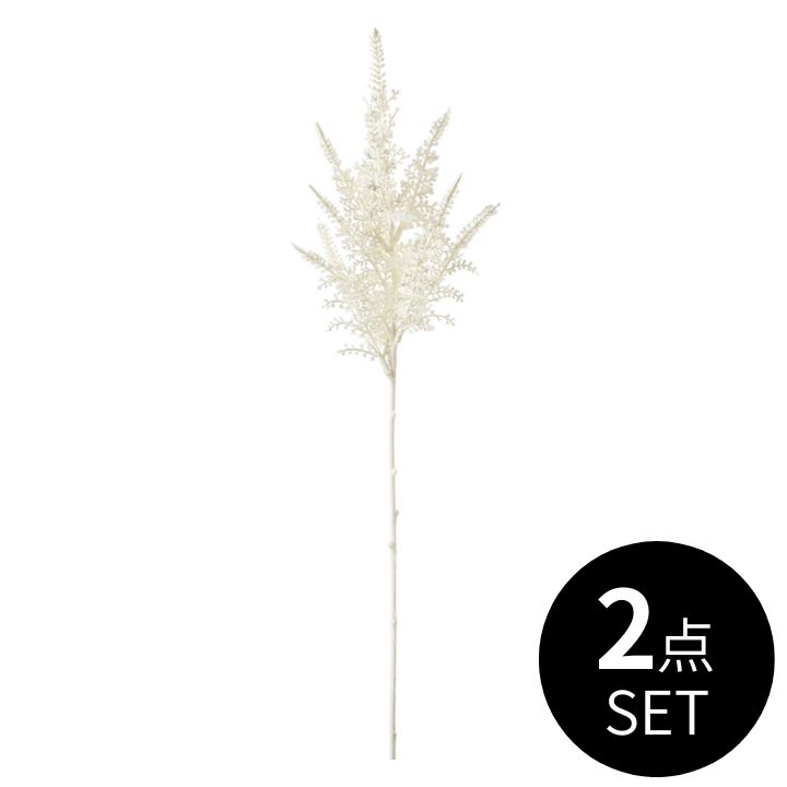 ドライパンパス / 2点セット