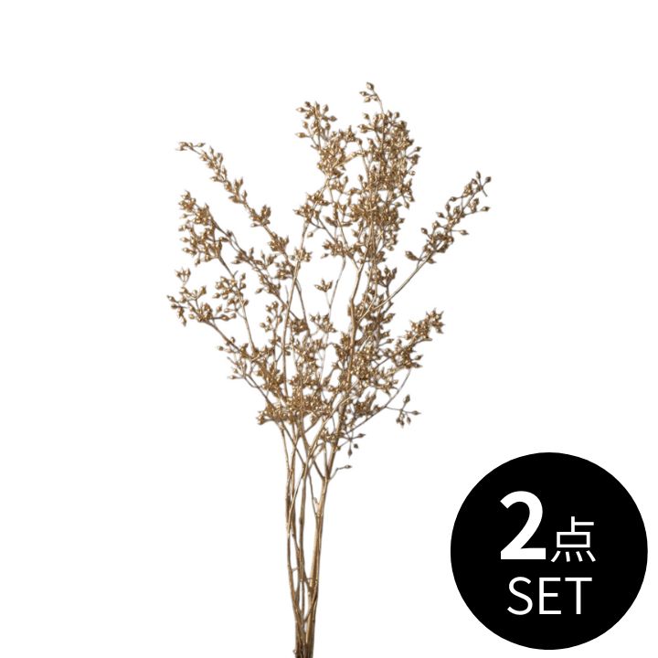 ユーカリ・エキゾチカ ゴールド / 2点セット
