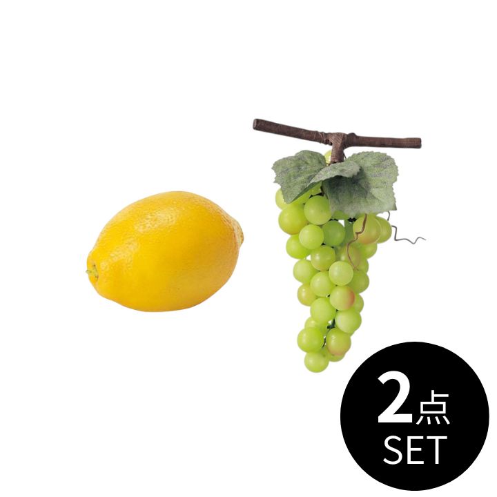 フルーツ / 2点セット
