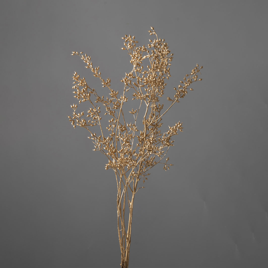 ユーカリ・エキゾチカ ゴールド