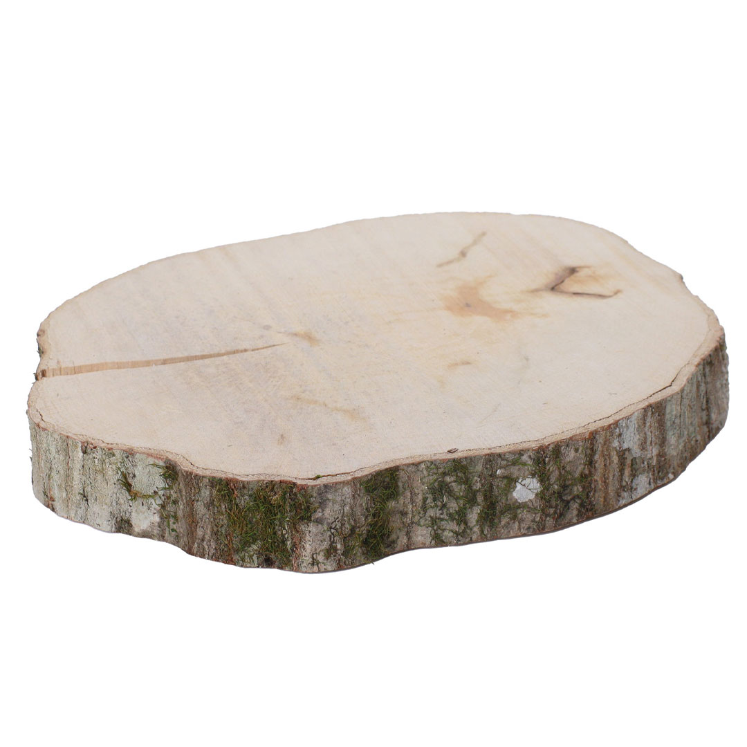 広葉樹の輪切り 200