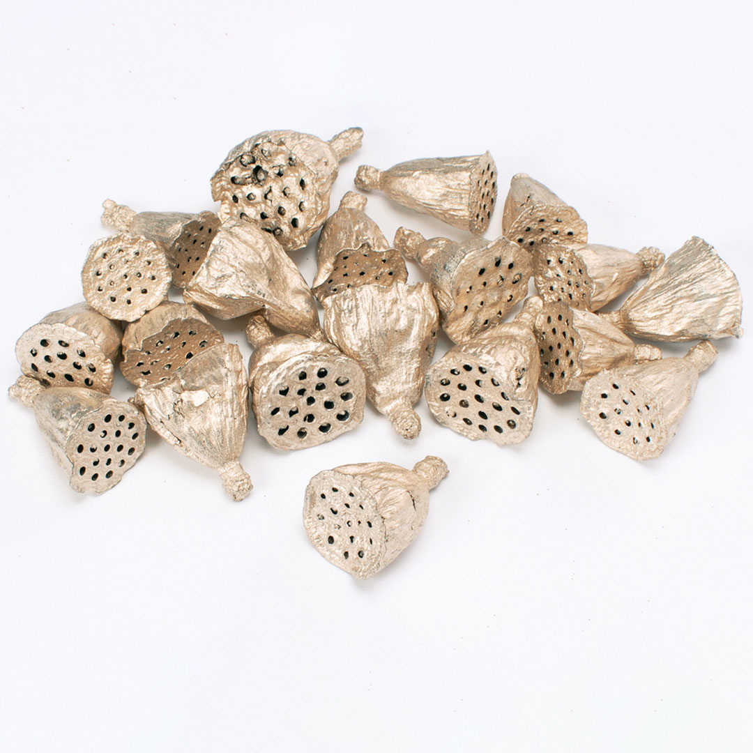 ミニハス大 プラチナ