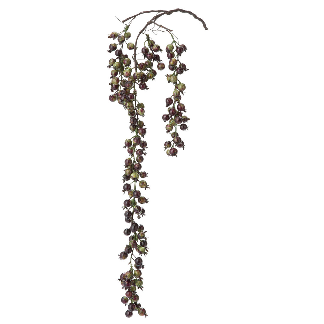 ベリーハンガー