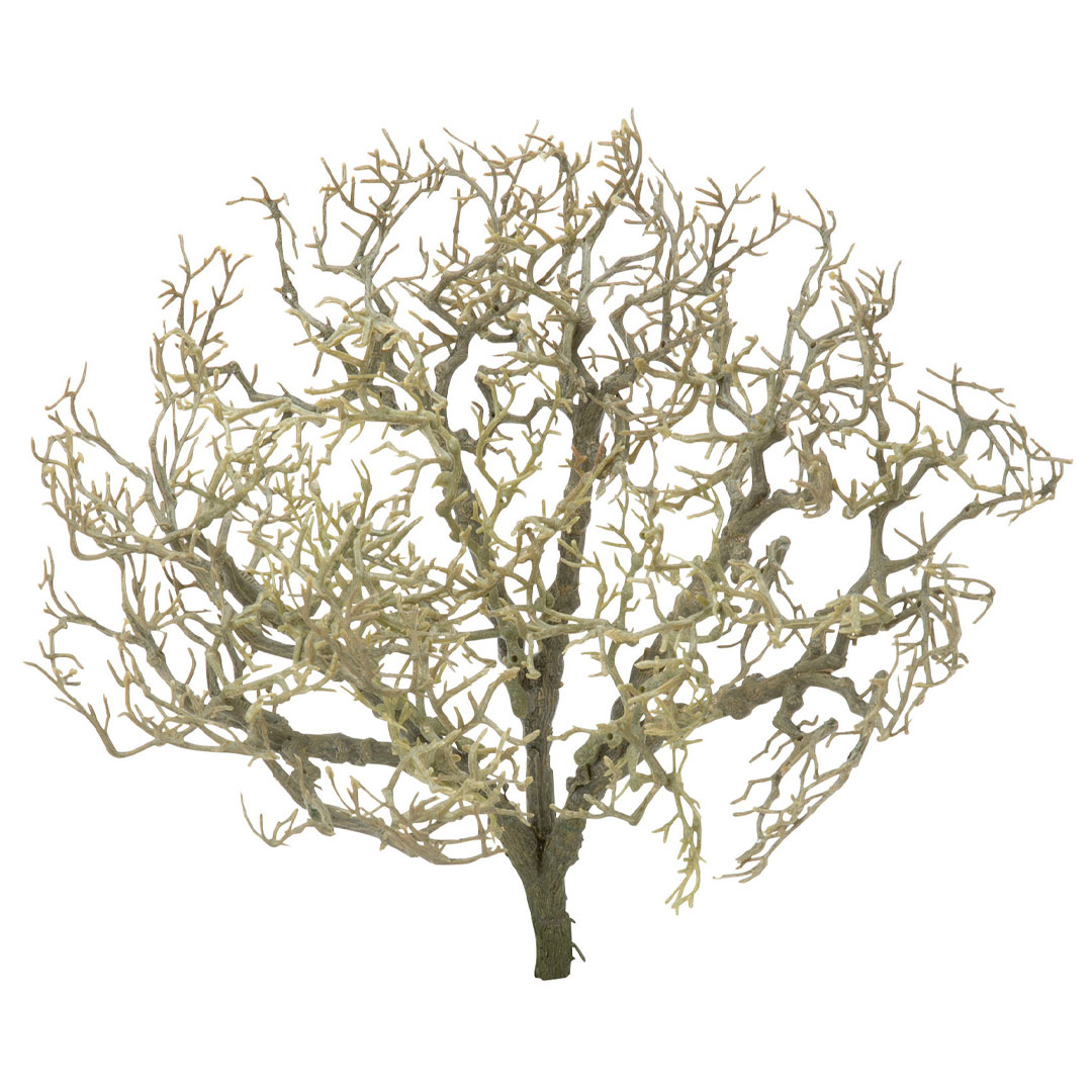 ネストブランチブッシュ