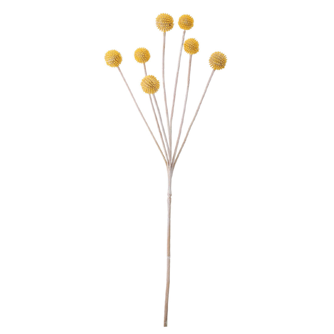 クラスペディア