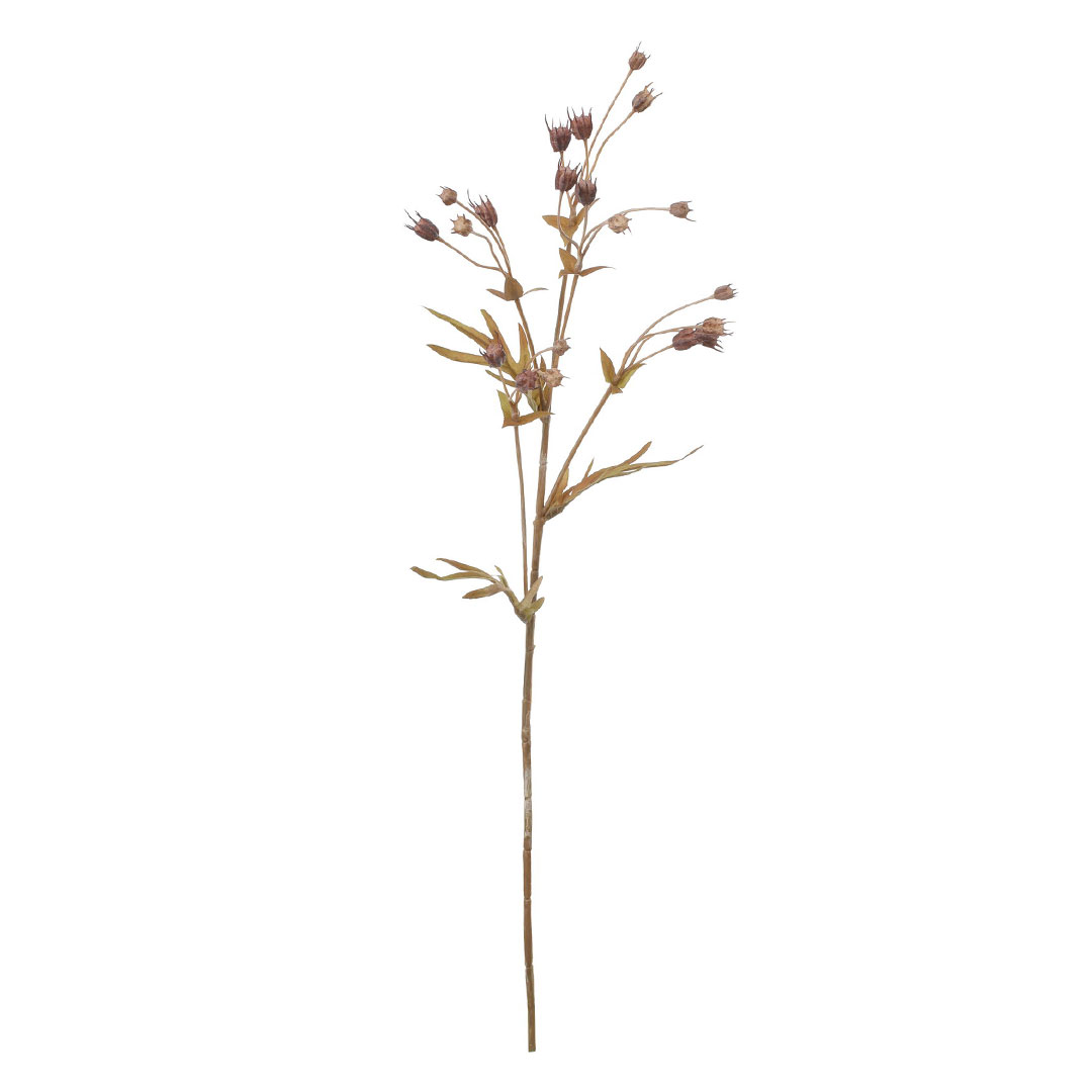 アマニスプレー