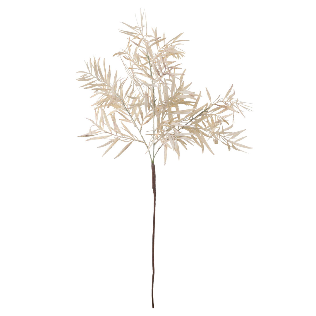 カラードグレビリアスプレー